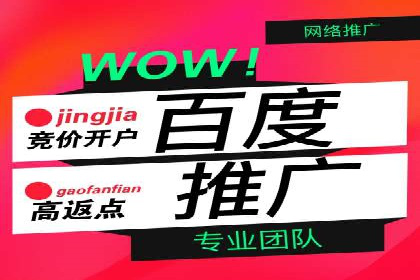 专业SEM托管如何助力电商行业增长？——案例分析
