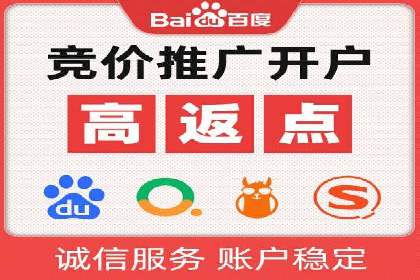 SEM广告投放的技巧与策略——成功案例分享